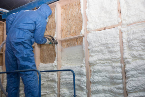 Best Crawl Space Insulation  in Wheat Ridge, CO